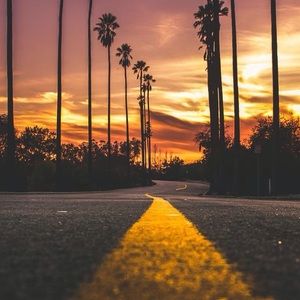 Meet your Posher, Sam